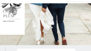 Two online storefronts under one domain and one Showit +site.