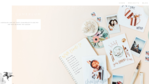 Two online storefronts under one domain and one Showit +site.